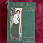 The Wild Olive by Basil King