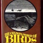 The changing world of birds by Anderson, John Merrick